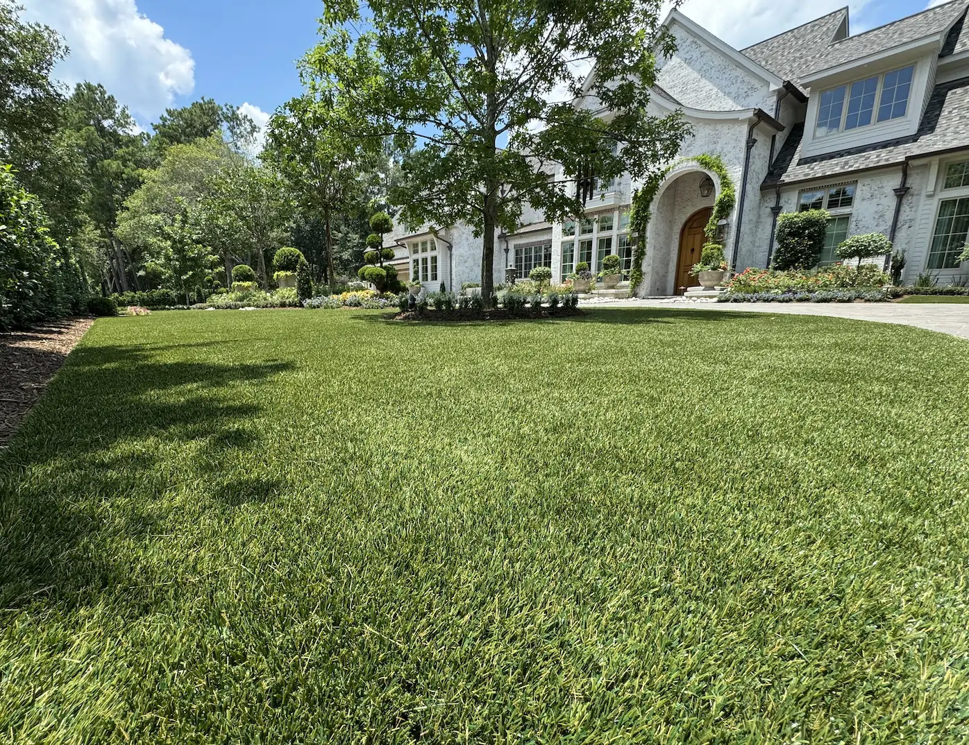 residential front yard