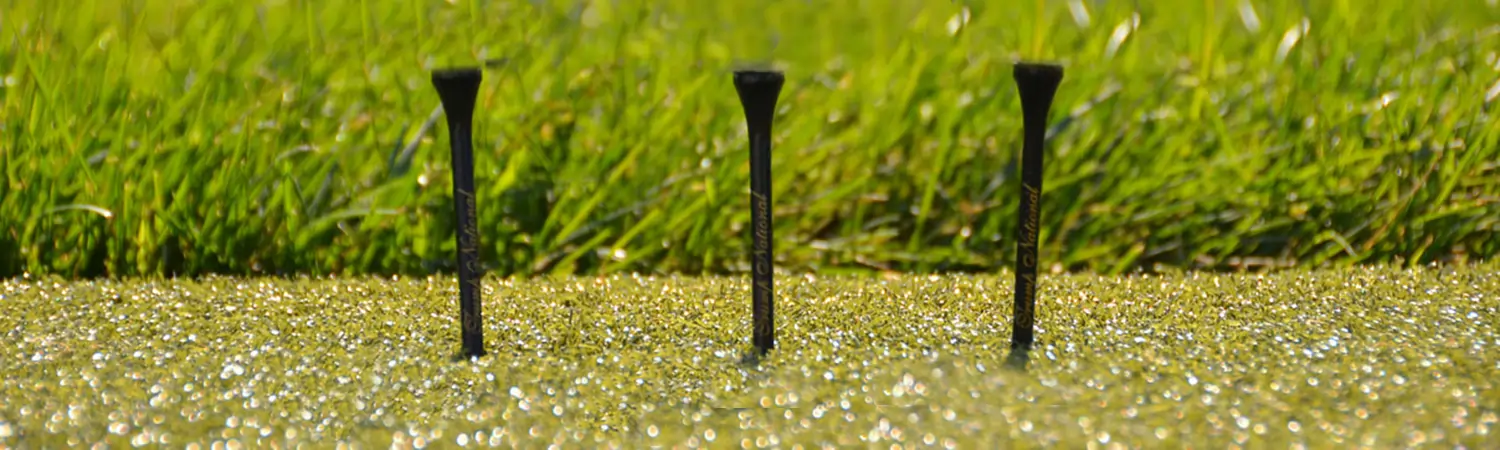 Golf tees on artificial grass