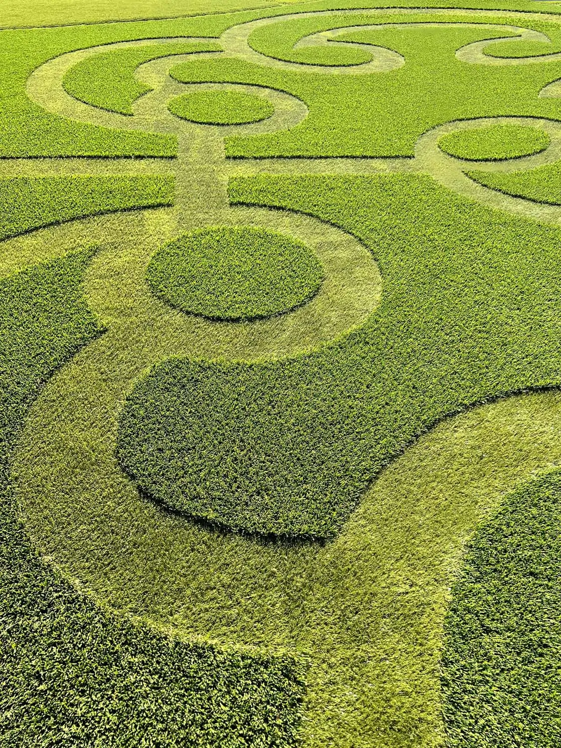 Artificial grass pattern installed by SYNLawn