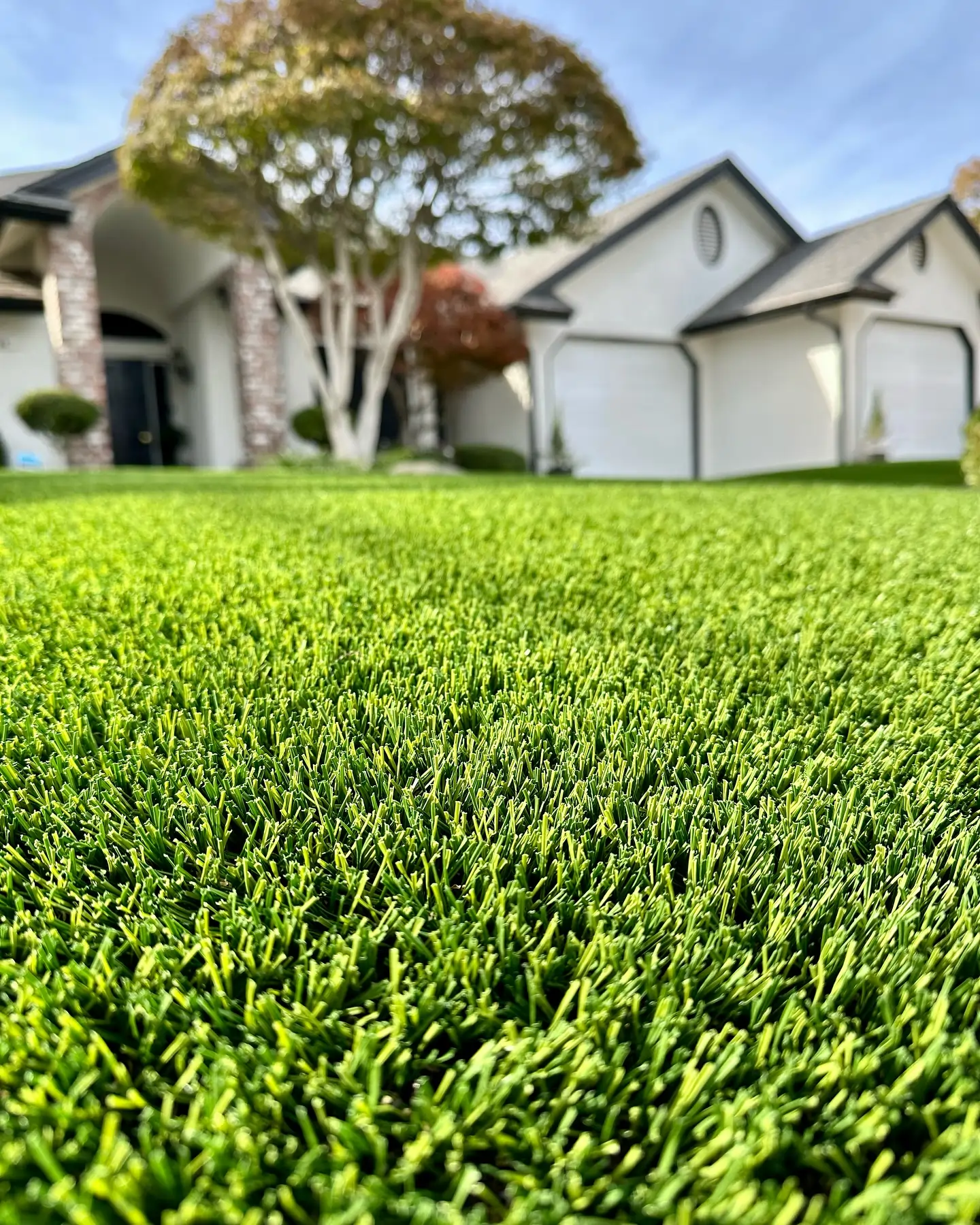synlawn artificial turf front lawn